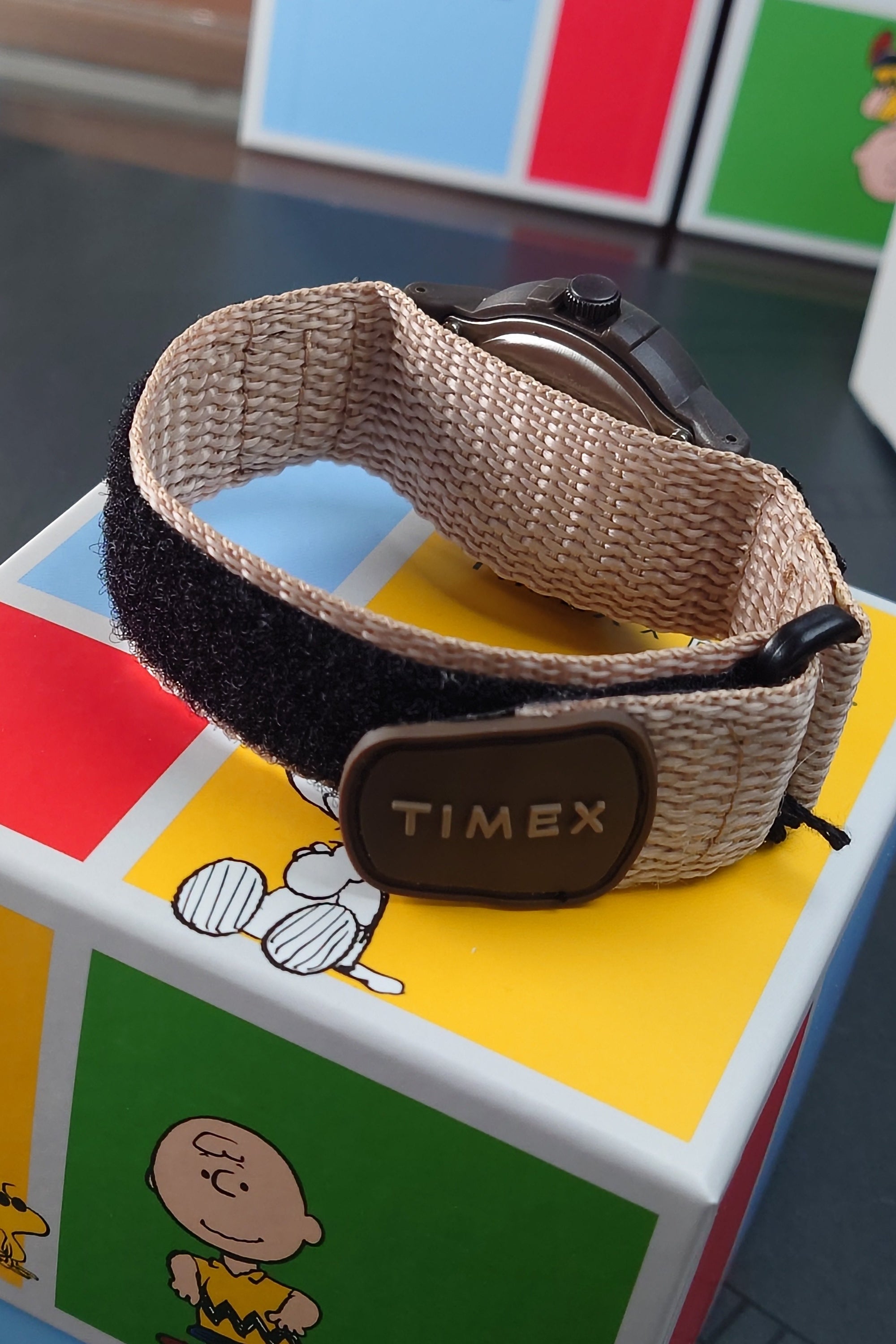 Timex X Peanuts - Camper Ski 石英錶 - TW4B349