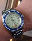 Signum cuda-steel-39mm-WHITE 全夜光自動錶 白色