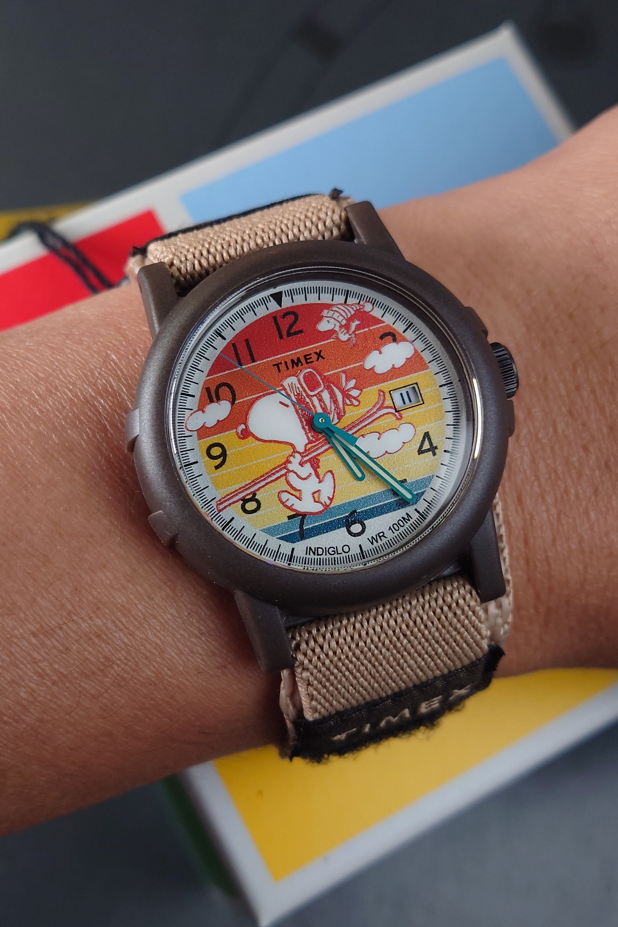 Timex X Peanuts - Camper Ski 石英錶 - TW4B349