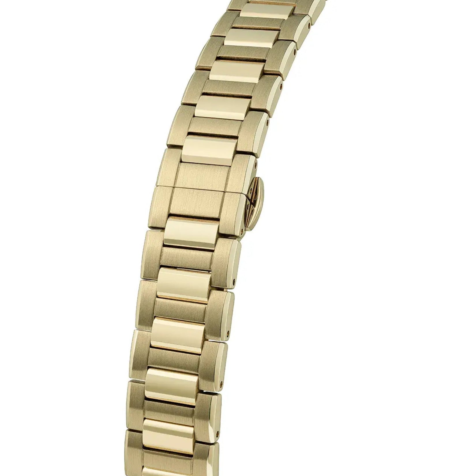 Vivienne Westwood Berwick Watch - VV345GRGD